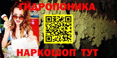 не бодяженный Гатчина
