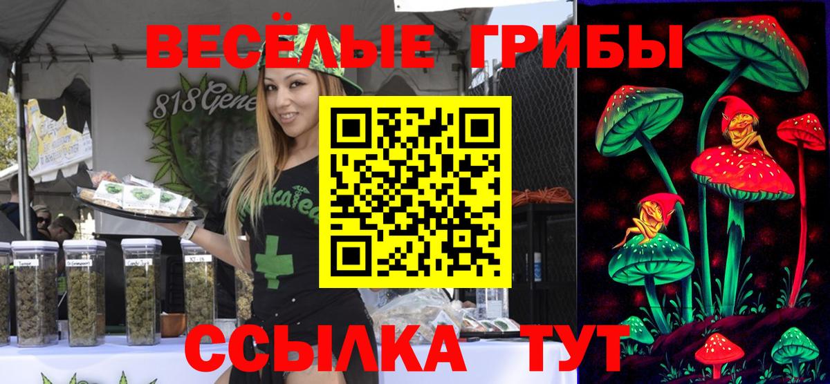 Галлюциногенные грибы Cubensis Мценск