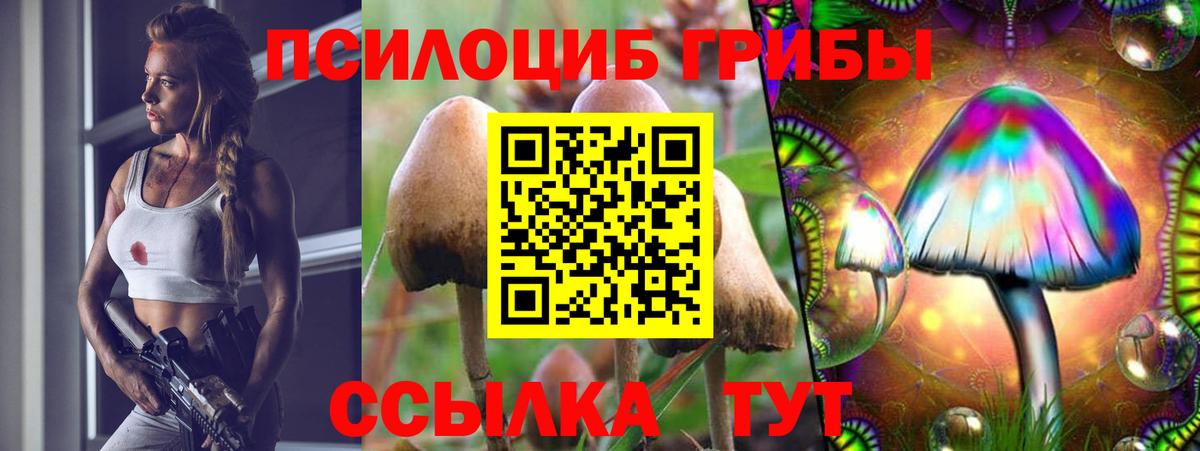 Галлюциногенные грибы Psilocybine cubensis  Вход с VPN  Мценск 